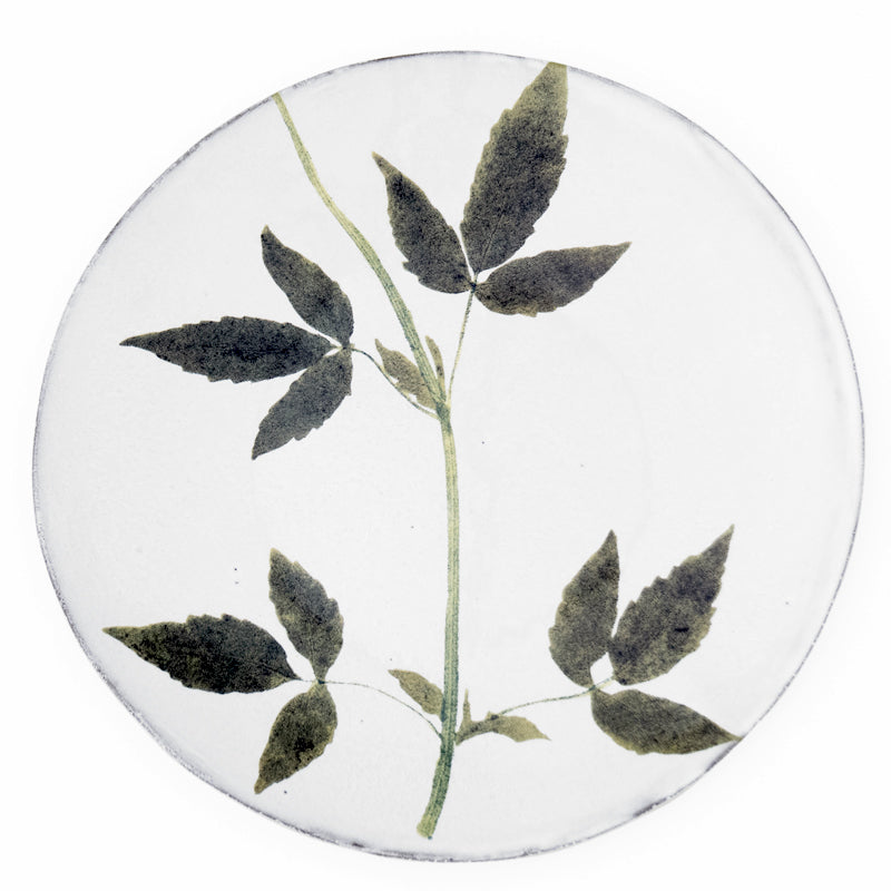 Drachocephalum Plate - Elegant Ceramic Dinner Plate Set for Home & Restaurant Use - Perfect for Dining, Serving, and Special Occasions