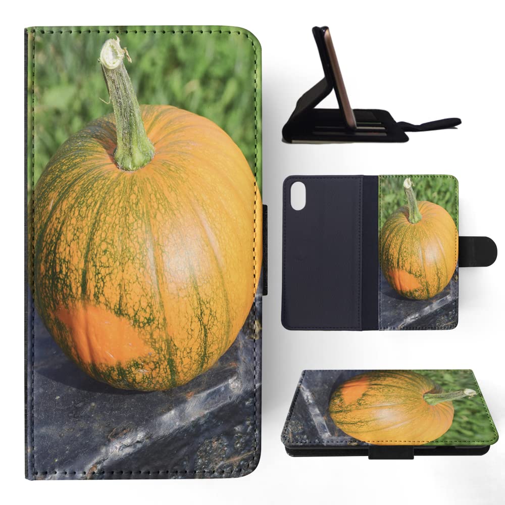 Orange Pumpkin Vegetable #3 FLIP Wallet Phone Case for Apple iPhone X/Xs - Slim Protective Cover with Card Slots | Perfect for Fall, Halloween & Everyday Use