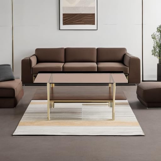AGV LIGHTING Modern Double Layer Coffee Table with Gold Frame, Coffee Brown Glass & Walnut Wood Top - Stylish Living Room Center Table for Small Spaces, Apartments and Lounge Areas