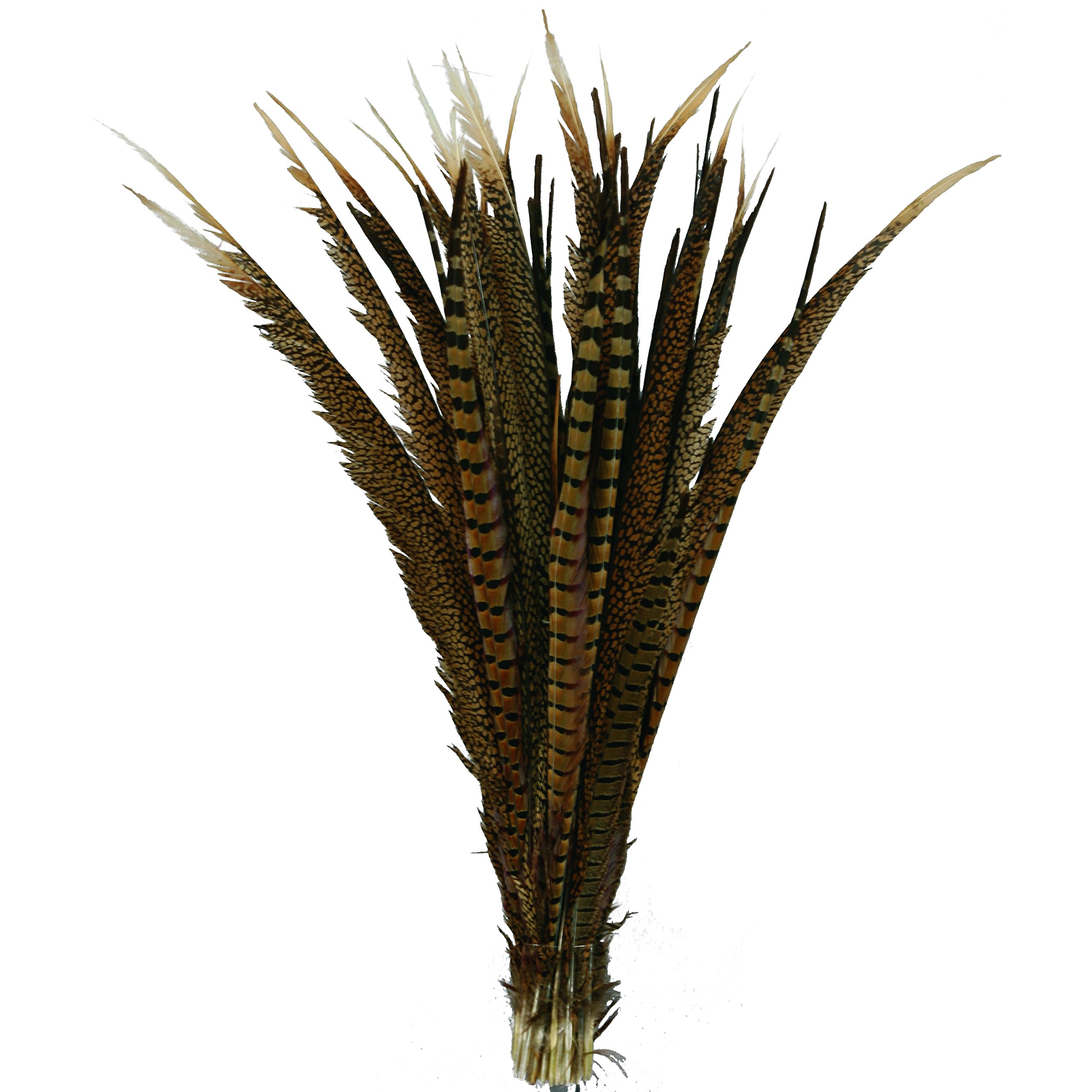 ZUCKER Pheasant Tail Feathers 8-14