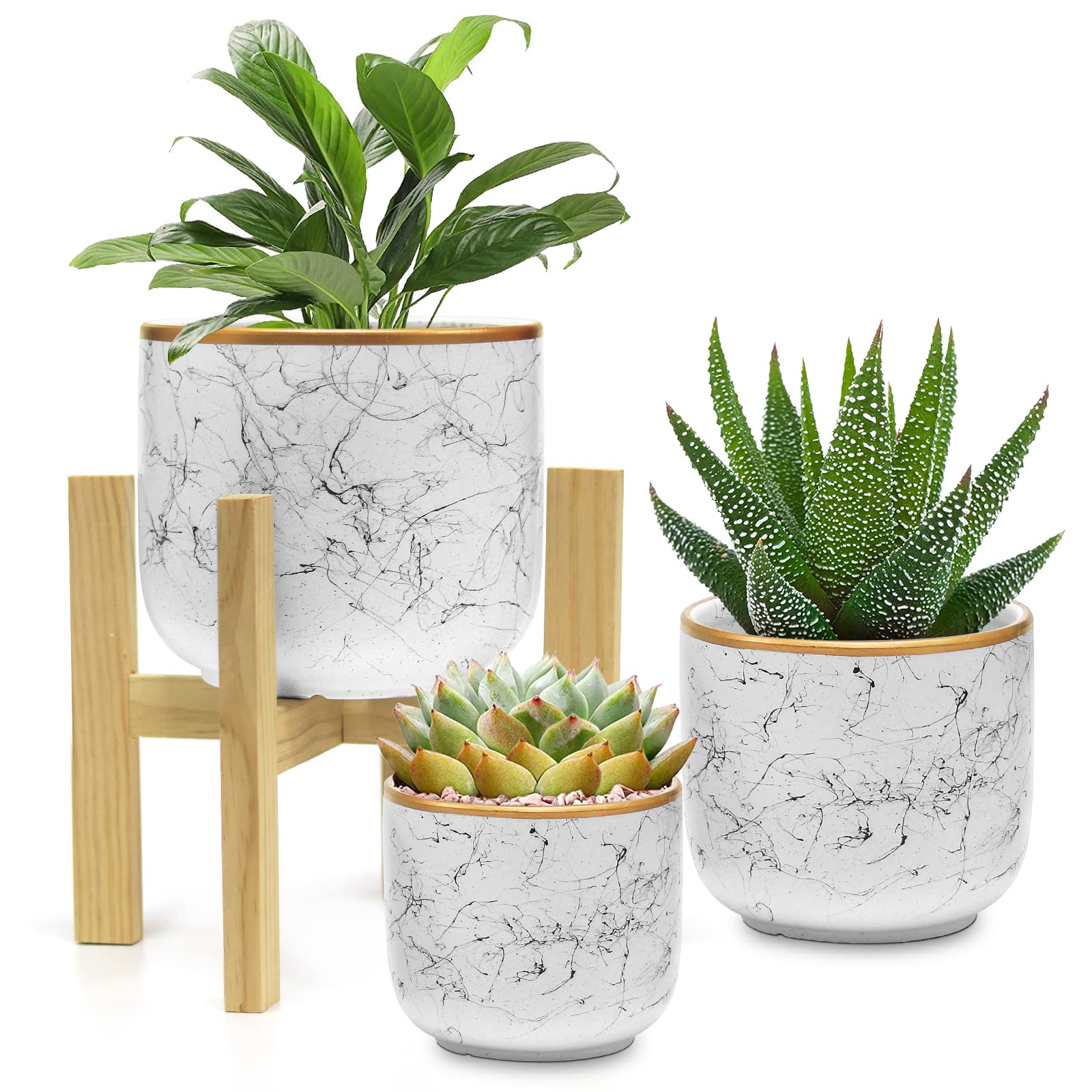 Premium Ceramic Plant Pots Set of 3 (6