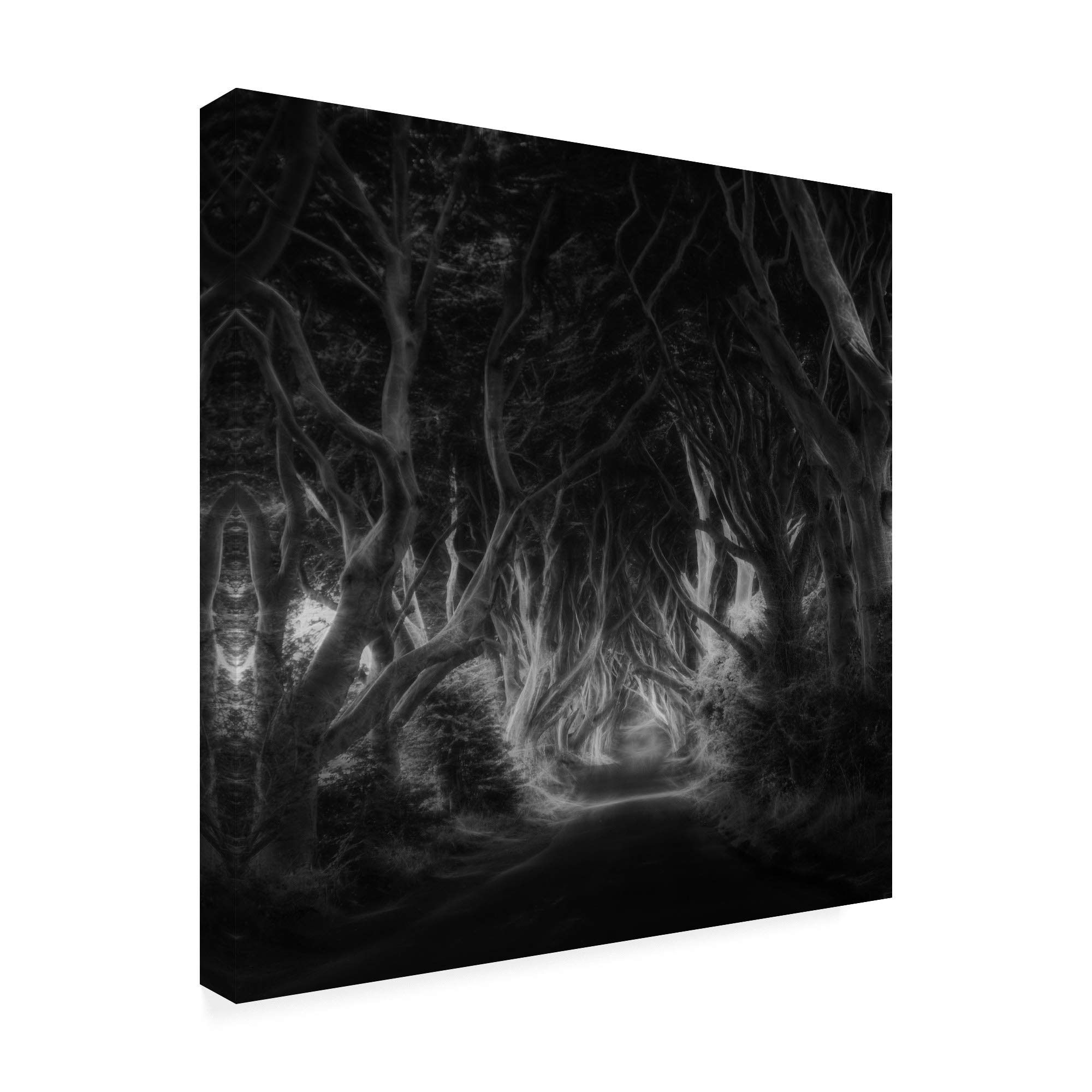 Trademark Fine Art 18x18 The Dark Hedges Bewitched by Saskia Dingemans - Gothic Landscape Wall Art for Home Decor, Office & Living Room