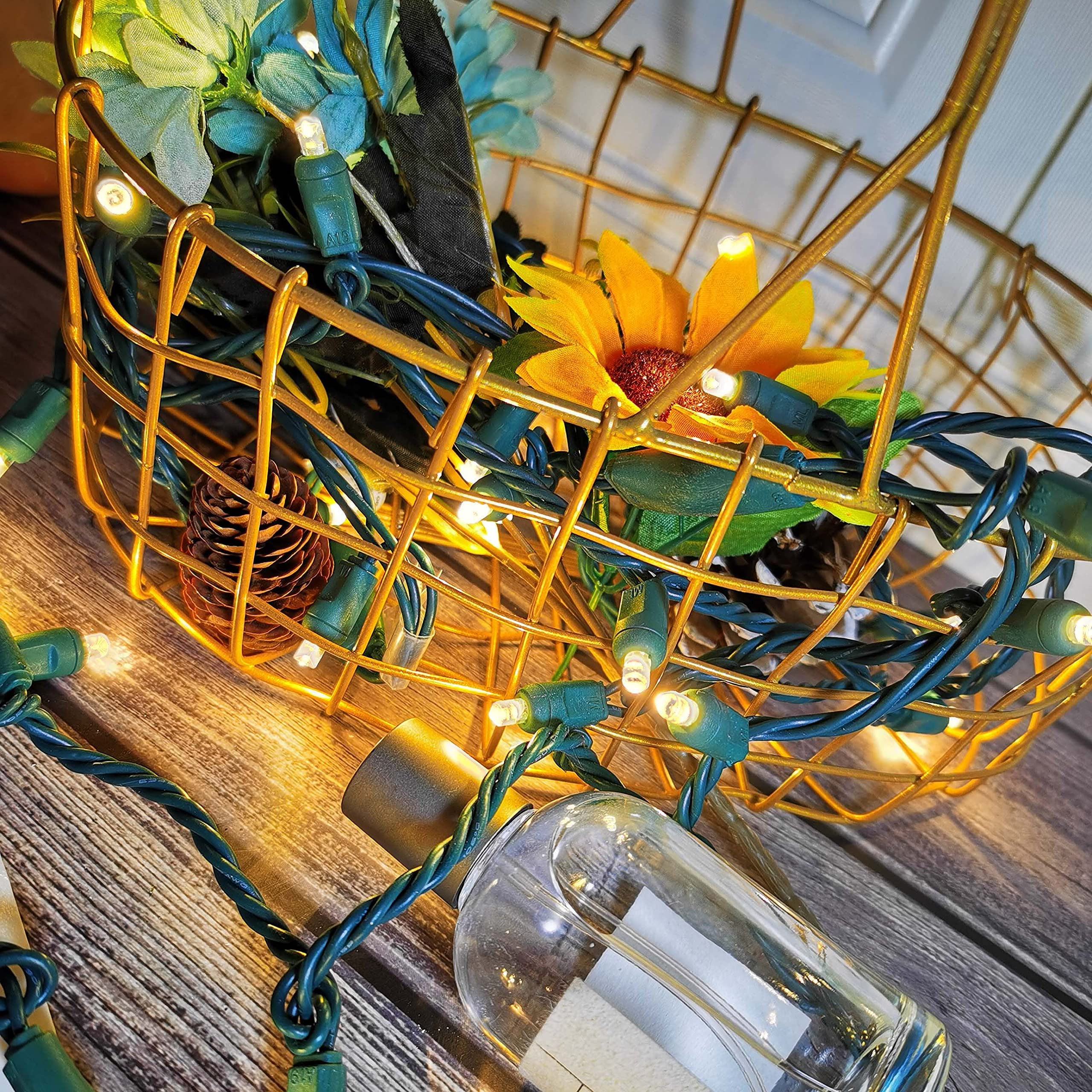 50 Warm White LED Christmas String Lights - 5mm Mini Lights with 25ft Green Wire, 120V UL Certified for Indoor & Outdoor Holiday Decorations - Perfect for Christmas Trees, Party Decor, and Festive Light Displays