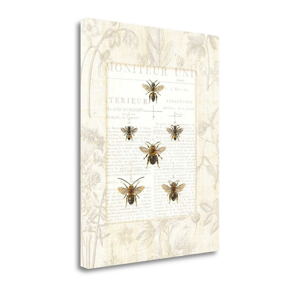 Bee Botanical By Sue Schlabach - Fine Art Giclee Print on Gallery Wrap Canvas - Ready to Hang Wall Decor - Perfect for Living Room, Bedroom & Office Decor