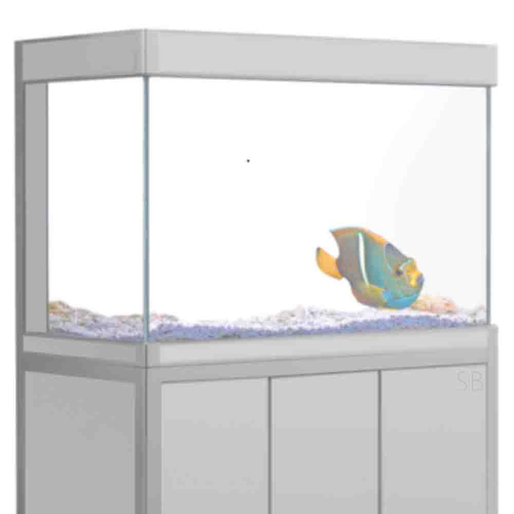 BOB 16''x48'' Underwater Aquarium Backdrop Sticker - HD Printed Fish Tank Background Decor, PVC Wall Poster (41x122cm) for Home & Office Aquarium Decoration | Perfect for Fish Lovers & Aquatic Theme Rooms