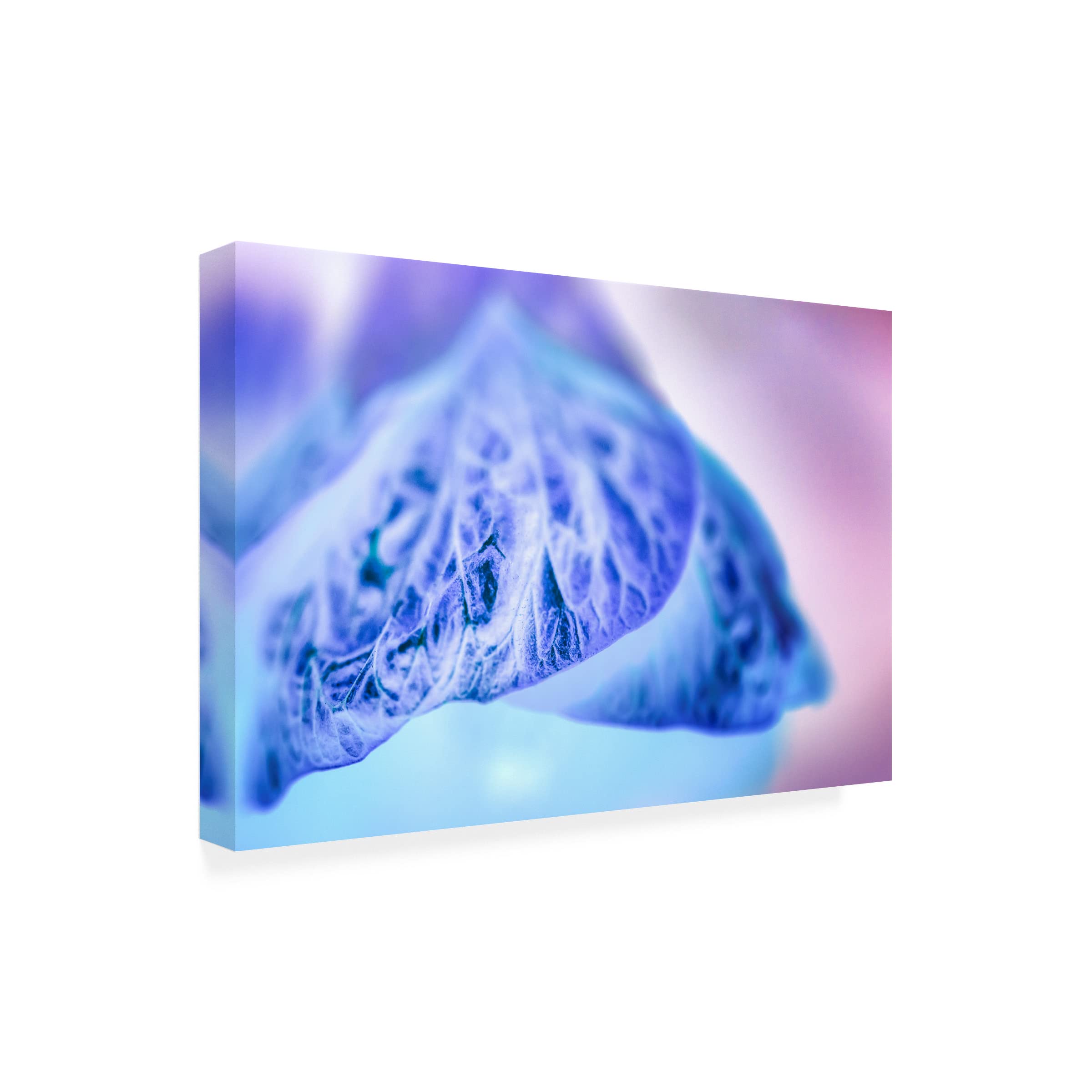 Eva Bane 'Heavenly Pastels 05' Canvas Wall Art Print - 16x24 Inches Modern Abstract Painting for Living Room, Bedroom & Office Decor