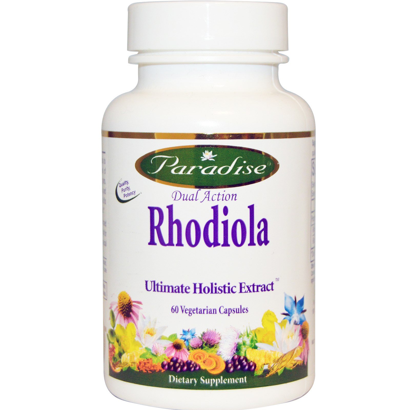Paradise Herbs Dual Action Rhodiola Supplement - 60 Vegetarian Capsules for Stress Relief & Energy Boost - Supports Mental Clarity & Physical Endurance - Perfect for Busy Professionals & Students