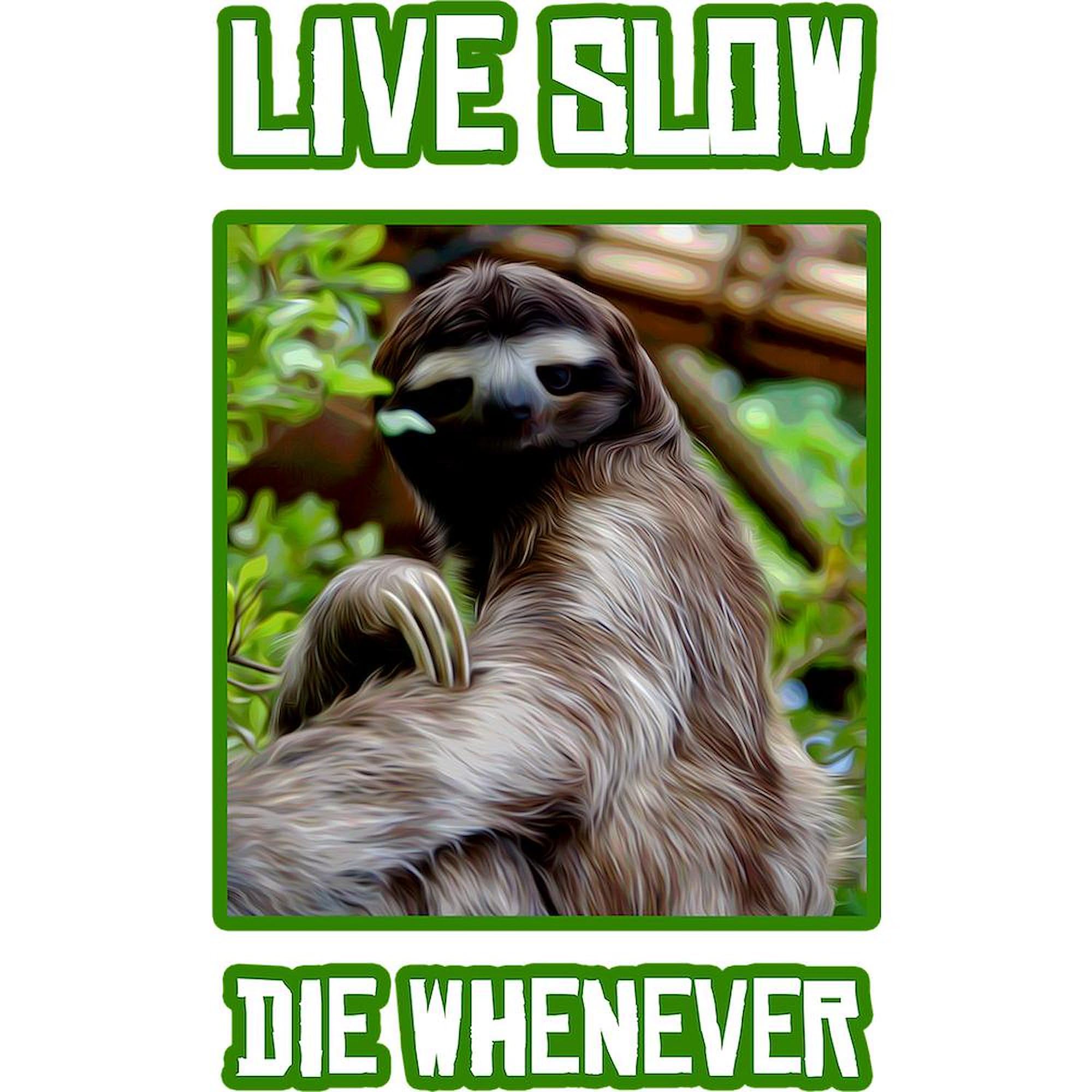 Live Slow Die Whenever 11 oz (325 ml) Ceramic Coffee Mug - Funny Sarcastic Tea Cup for Office, Home & Gifts - Durable Dishwasher Safe Mug for Coffee, Tea & Hot Beverages