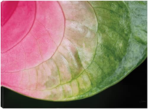 Pink and Green