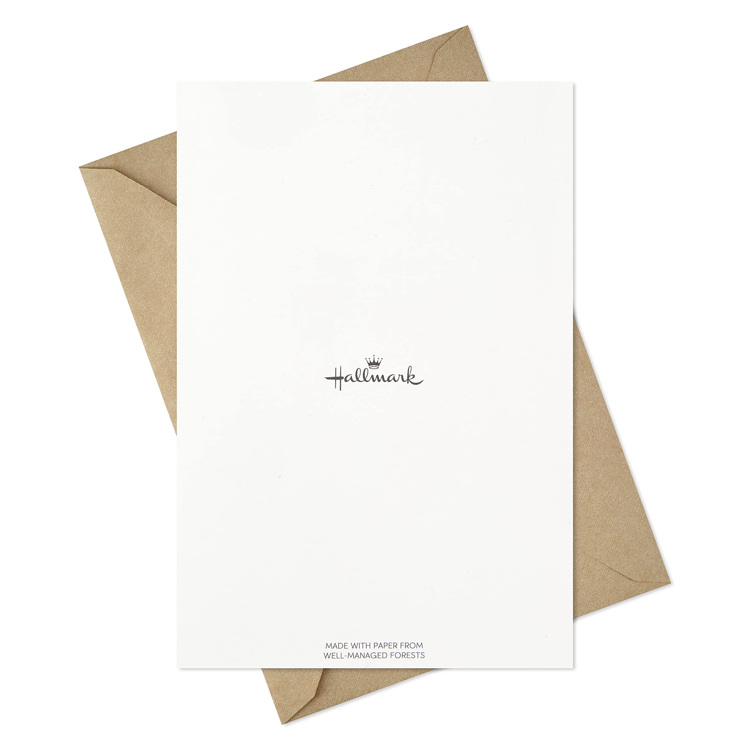Hallmark Thanksgiving Greeting Cards - 36 Assorted Thankful Cards with Envelopes for Family & Friends | Perfect for Holiday Wishes, Office Parties & Home Decor