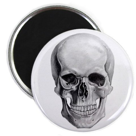Skull Head Pencil Sketch Art - 2.25 Inch Fridge Magnet for Refrigerator, Office & Home Decor - Gothic Art Magnet for Lockers, Whiteboards & Metal Surfaces