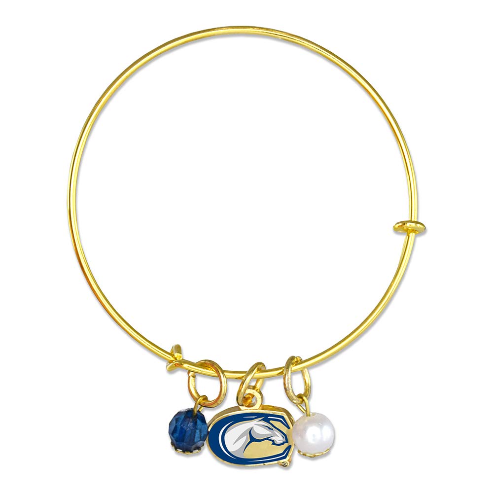 Official NCAA College Team Bangle Bracelet - Adjustable Up to 8 Inches | Fan Frenzy Gifts | Perfect for Game Day, Graduation & School Spirit Jewelry