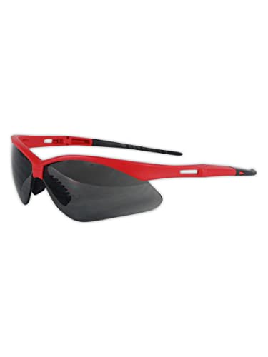 Gray Lens/Red Frame