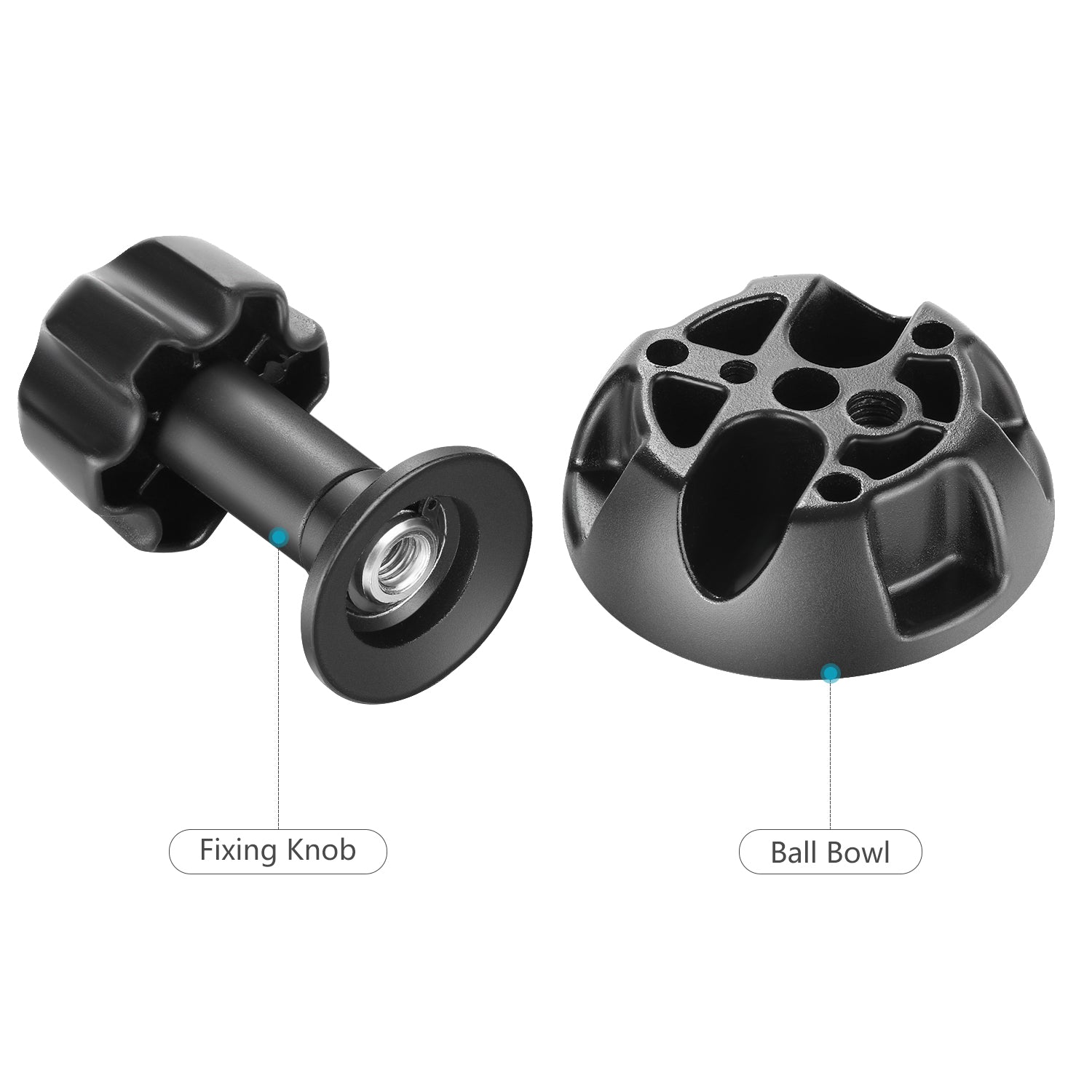NEEWER 75mm Bowl Adapter for Softbox, Speedlight, and Studio Lighting - Compatible with Flash Diffusers, Photography Reflectors, and Light Modifiers - Perfect for Portrait, Product, and Indoor Photography