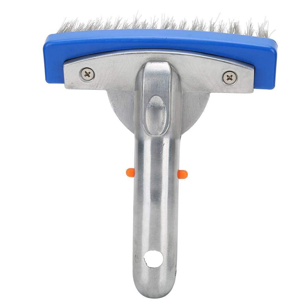 Stainless Steel Pool Brush 5.5 Inch - Heavy Duty Swimming Pool Scrub Brush for Walls & Floors - Perfect for Home Pools, Spas, Ponds, and Fountains - Pool Cleaning Supplies & Equipment