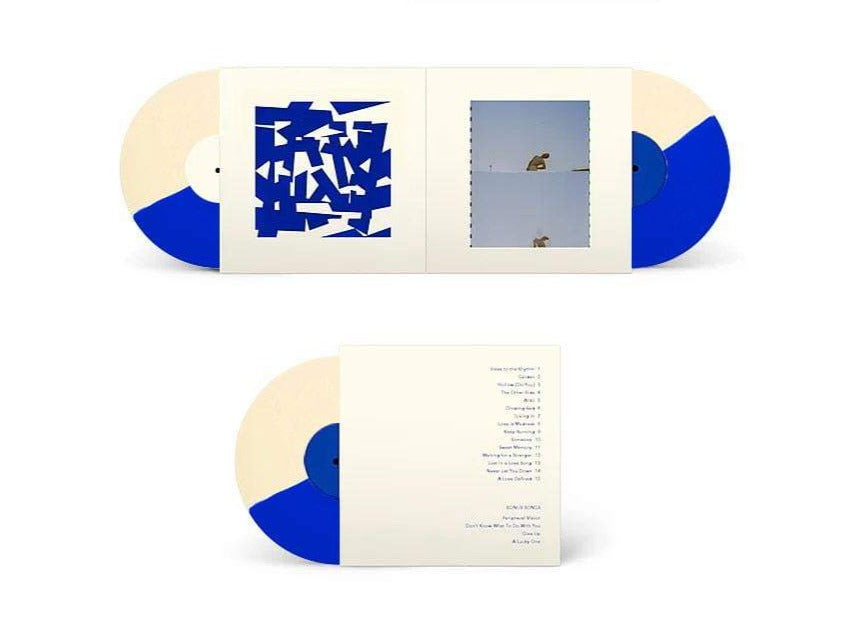 Geographer - Down and Out in the Garden of Earthly Delights (2xLP Vinyl Record) - Perfect for Music Collectors & Indie Rock Lovers