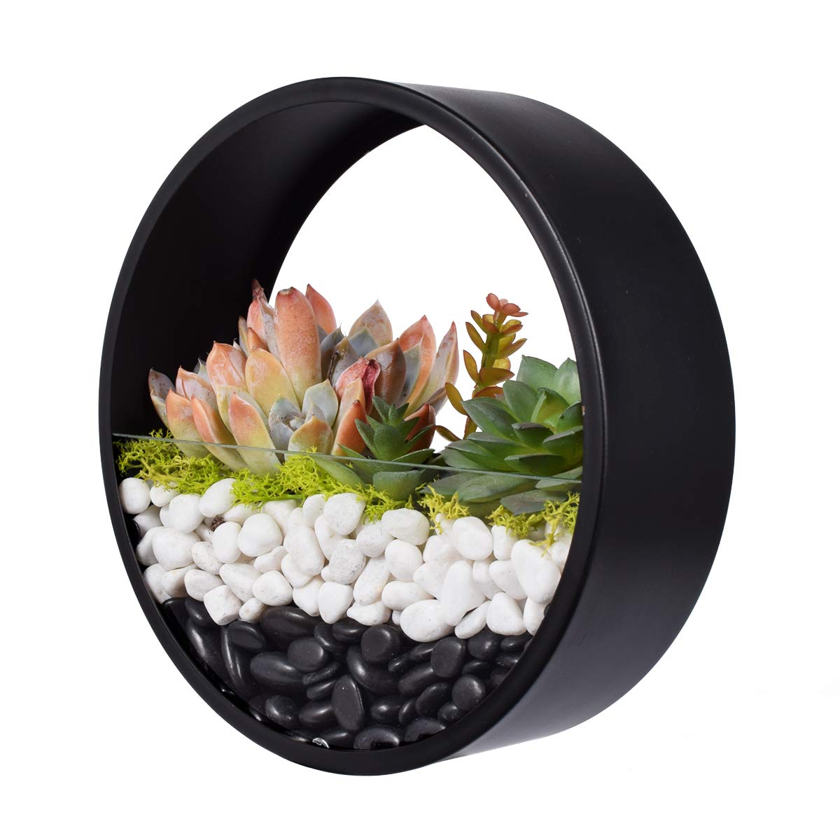 Ecosides 8