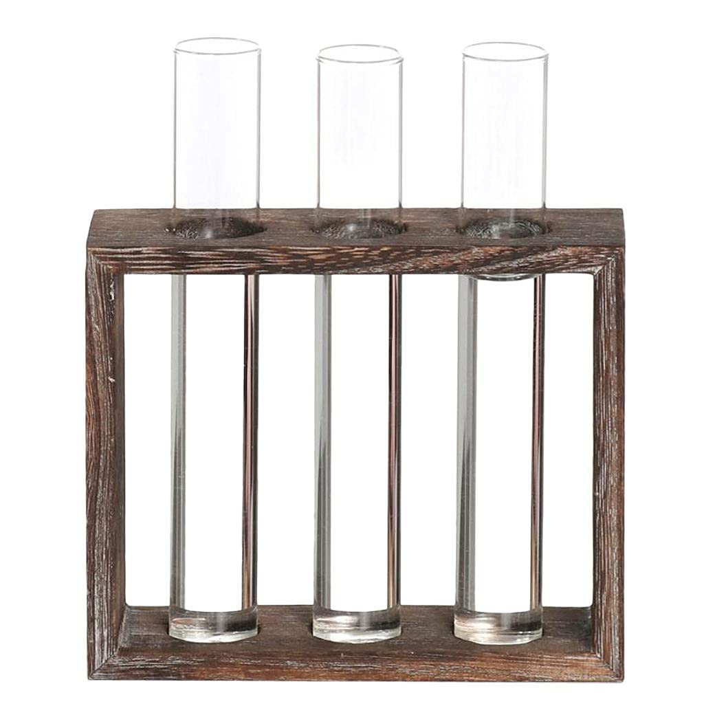 Newmind Glass Test Tube Vase with Wooden Stand - 3 Tube Hydroponic Planter for Flowers, Herbs & Succulents | Perfect for Home Decor, Wedding Centerpieces & DIY Plant Projects