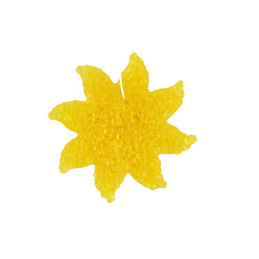 Aromie Citrus Splash Air Freshener - Natural Car & Home Fragrance - Eliminate Odors in Vehicles, Offices & Living Spaces
