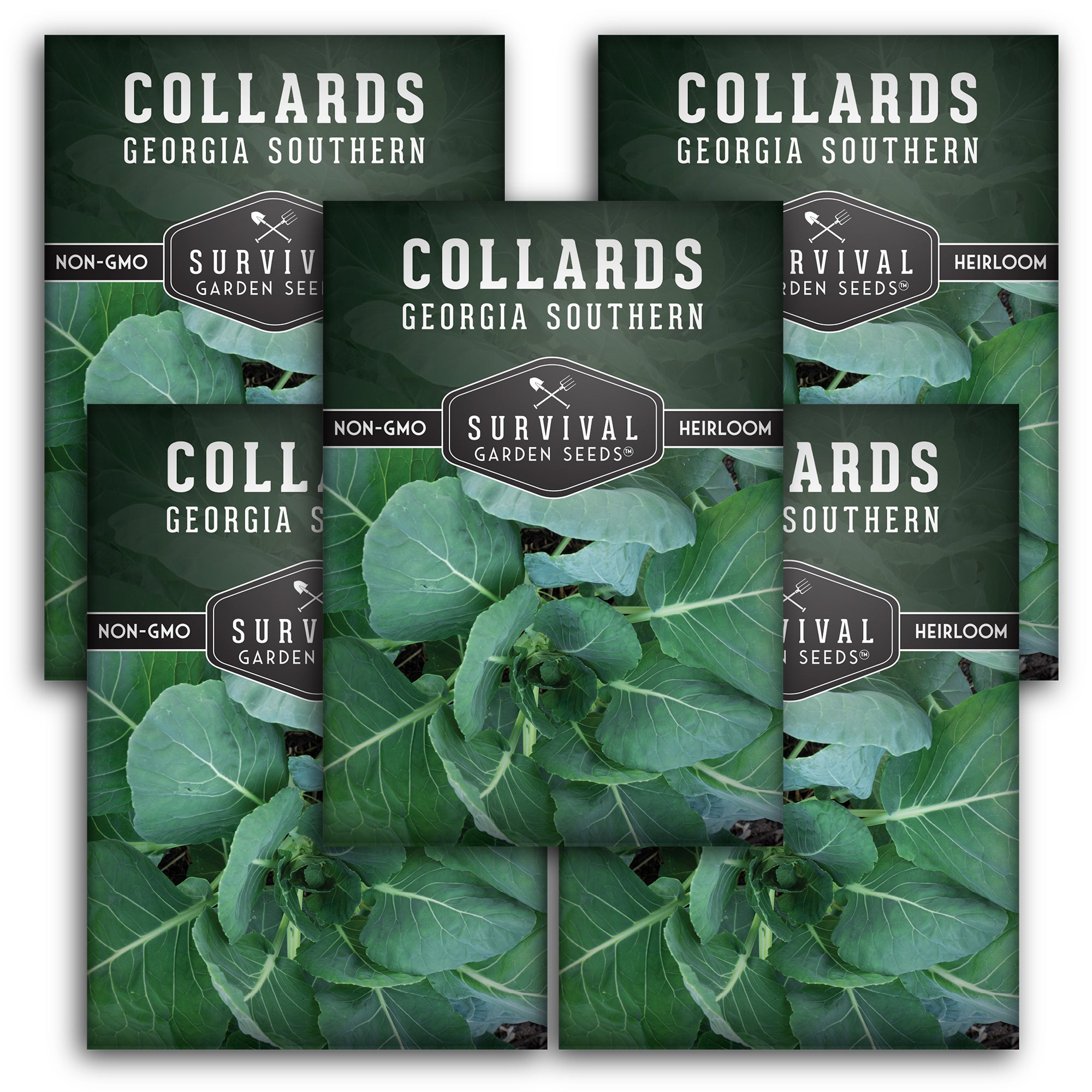 Georgia Southern Collard Greens Seeds - Non-GMO, Heirloom Vegetable Seeds for Home Garden Planting | Perfect for Southern Cooking, Soups, and Healthy Salads
