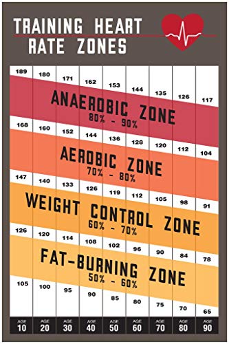 Heart Rate Zones Dark | 12882