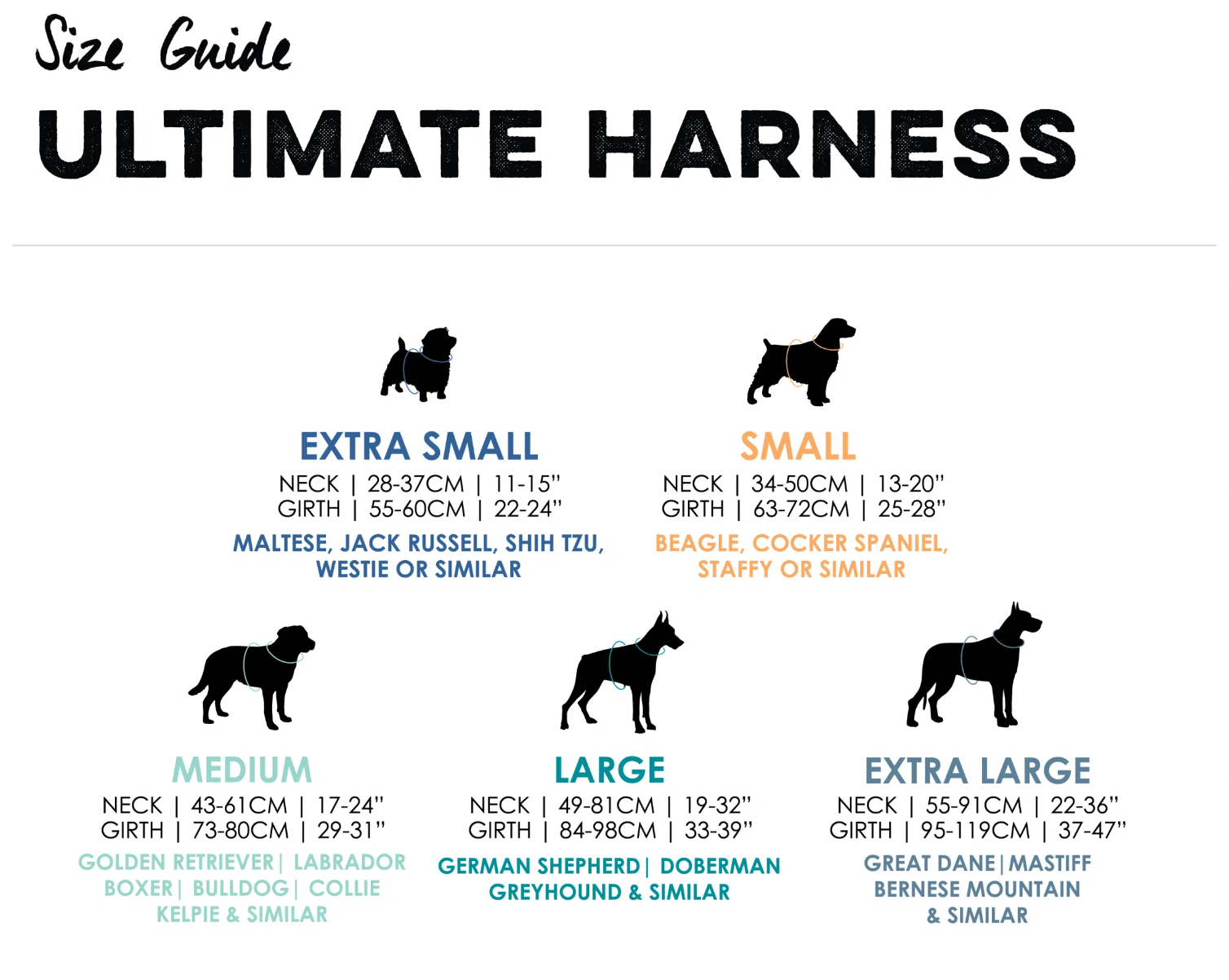 Huskimo Ultimate No-Pull Dog Harness with Reflective Strips - Adjustable Pet Vest for Small Medium Large Dogs - Perfect for Walking, Running, Hiking & Outdoor Adventures (Aurora)