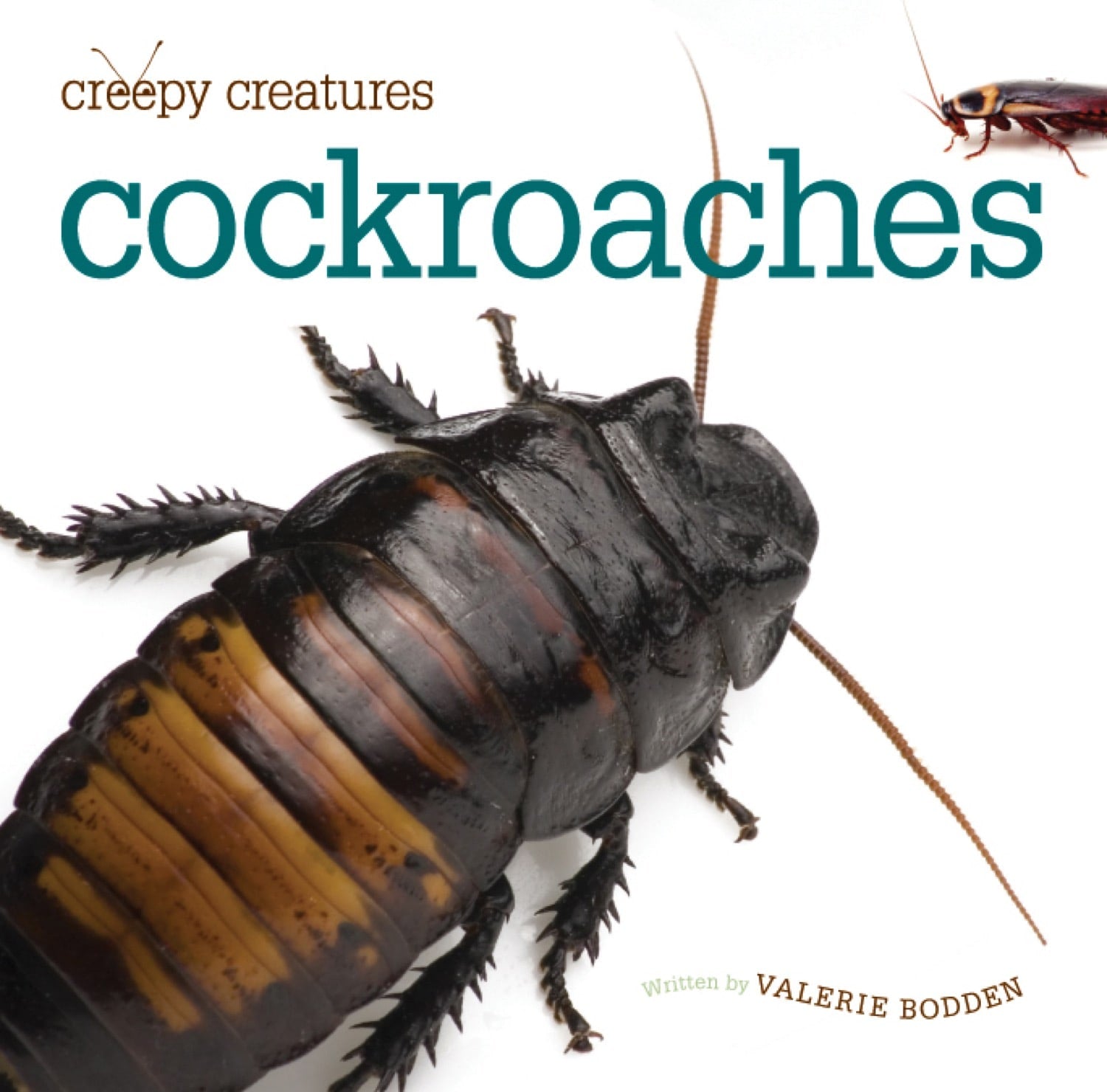 Best Selling Cockroach Control Book - 9781608182329 | Effective Pest Management Guide for Home & Garden