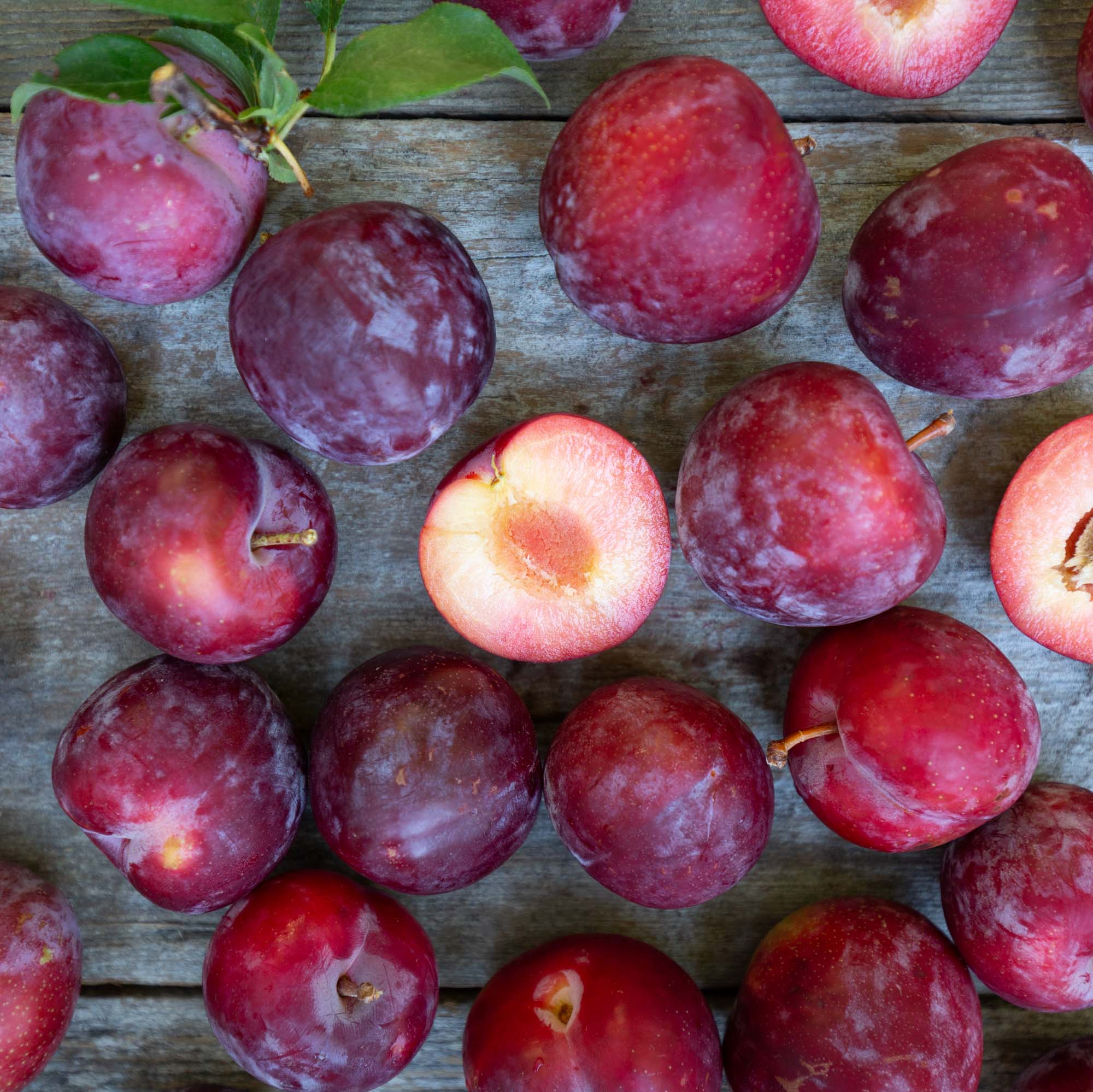 Organic Flavor King Pluots - Sweet & Juicy Hybrid Fruit | Pre-Order Now for Summer 2025 Delivery | Perfect for Fresh Eating, Baking & Gourmet Recipes