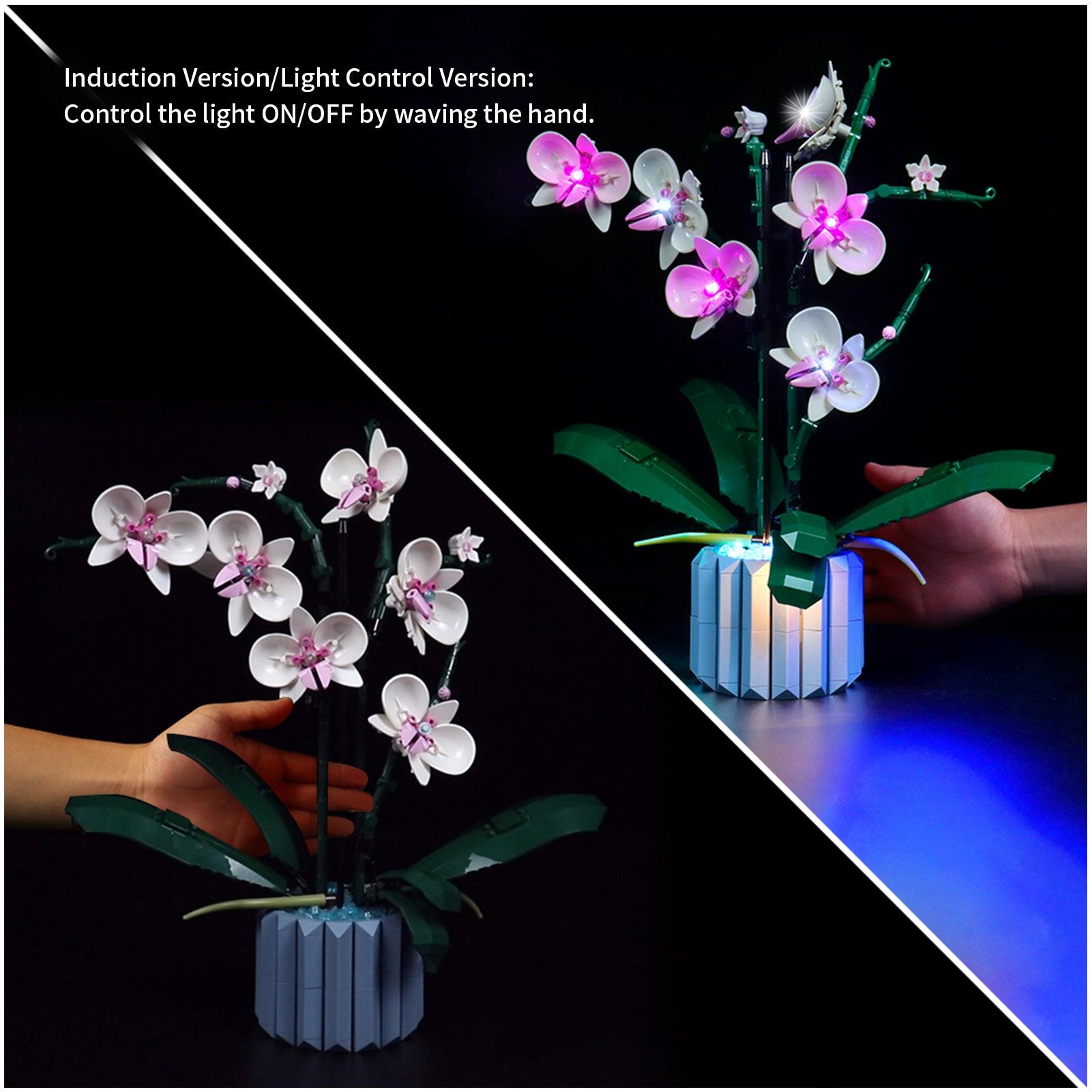 Premium LED Light Kit for Lego Ideas Orchid Plant Decor 10311 – Enhance Your Lego Flower Display with Realistic Lighting for Home & Office Decor