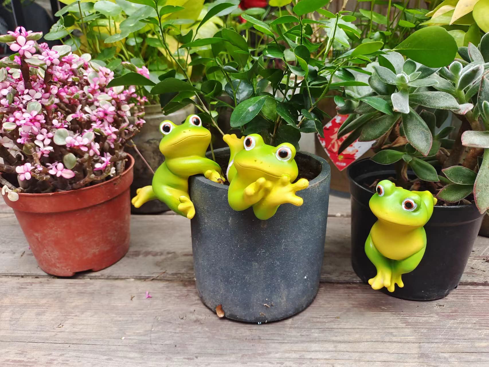 Cute Animal Figurine Planter Pot Hangers - Set of 3 Resin Hanging Frog Sculptures for Outdoor Garden Decor, Flower Pot Climbing Ornaments - Perfect for Patio, Balcony & Backyard Decorations