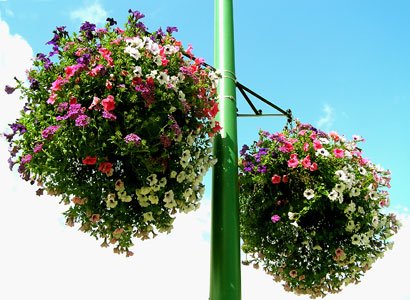 Water Absorbing Polymer Plant Mats - Reduce Watering Frequency by 50% for Hanging Baskets, Planters & Containers | Perfect for Indoor Plants, Outdoor Gardens & Drought-Prone Areas