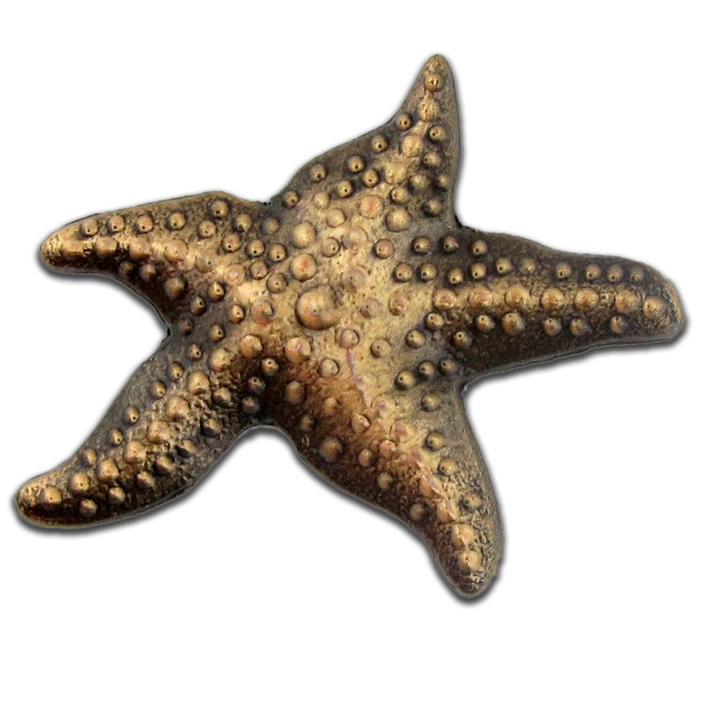 PinMart Starfish Lapel Pin with Inspirational Story Card - Meaningful Gift for Teachers, Nurses, Volunteers (Perfect for Appreciation Gifts, Motivational Pins, Charity Events)