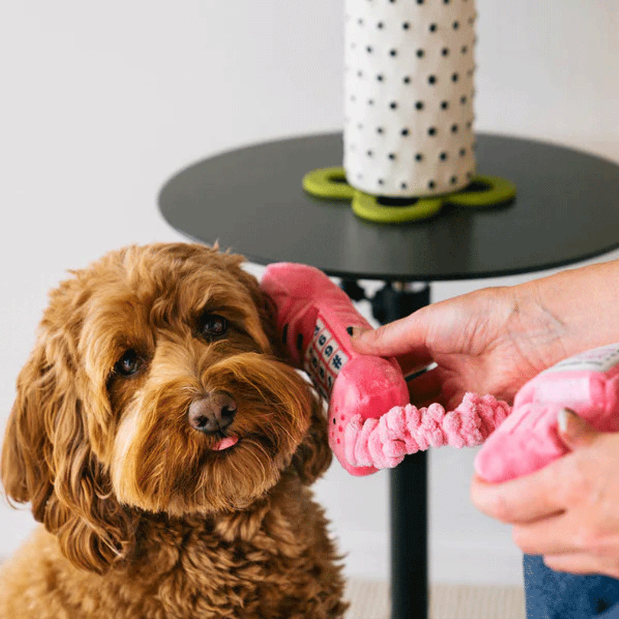 P.L.A.Y. Pink Corded Telephone Dog Toy - Durable Chew Toy for Small & Medium Dogs - Interactive Play for Puppies & Adult Dogs - Perfect for Indoor & Outdoor Fun