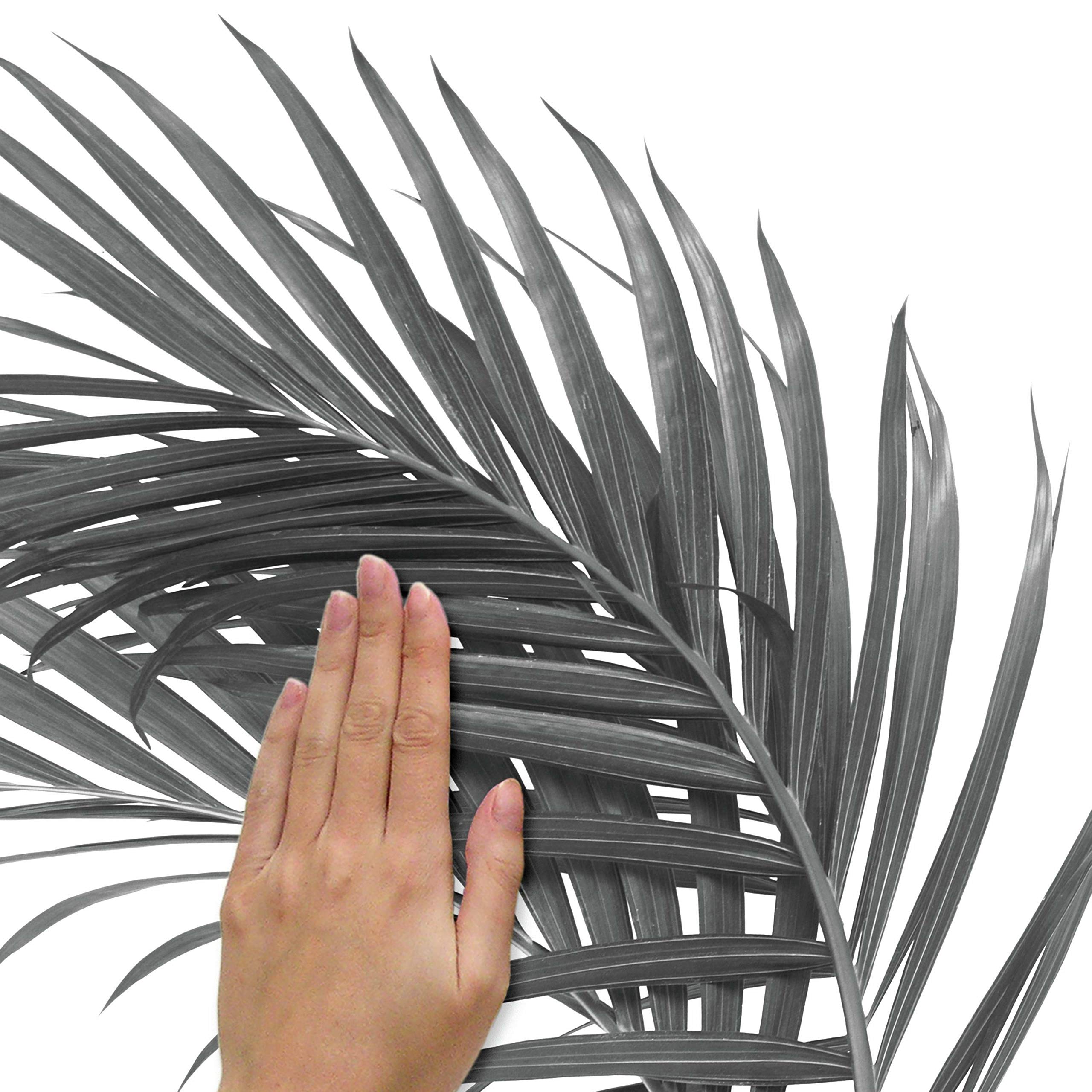 RoomMates RMK4713GM Black & White Palm Tree Peel & Stick Wall Decals - Easy DIY Wall Decor for Bedroom, Nursery, Living Room & Office