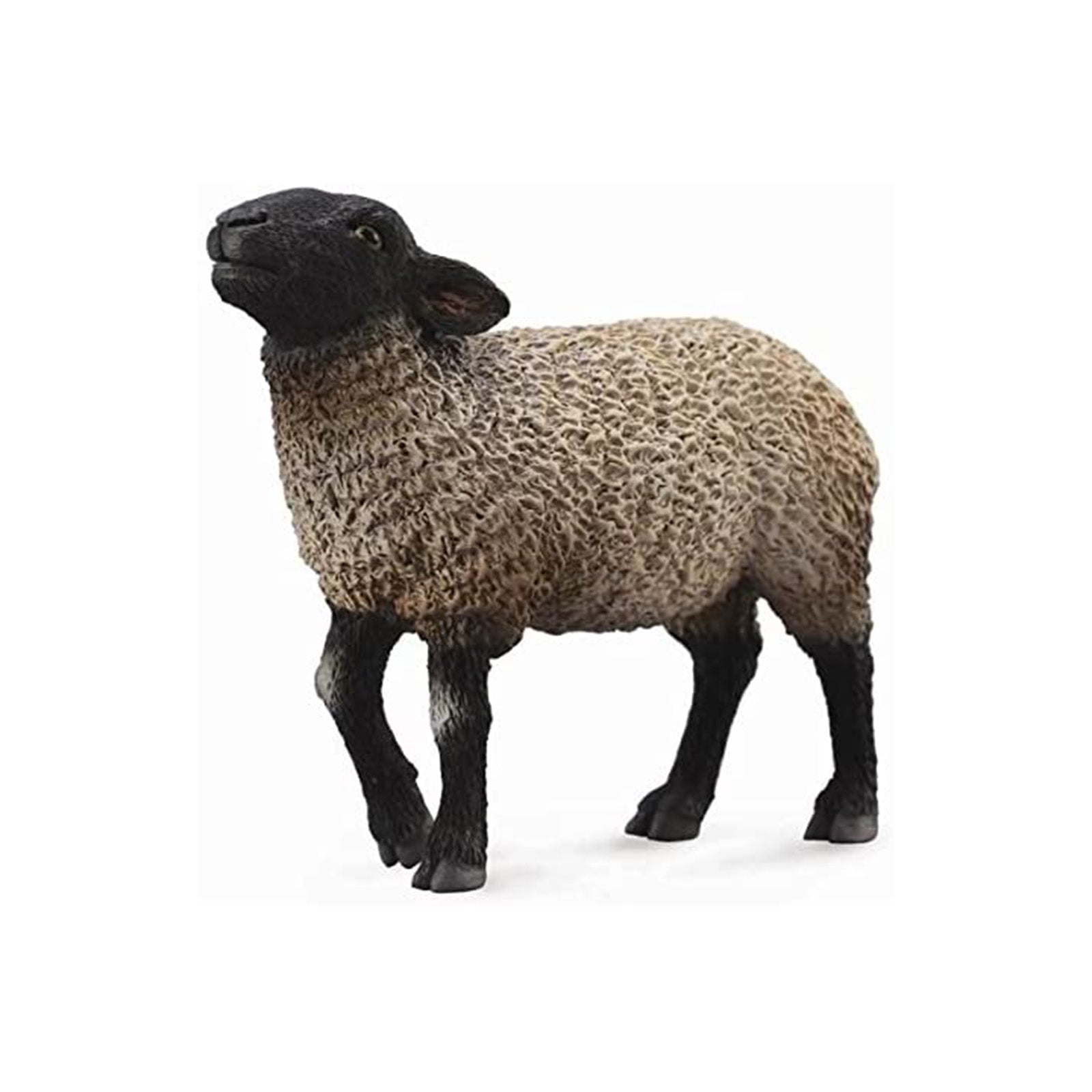 CollectA Suffolk Horse Animal Figure 88636 - Realistic Farm Animal Toy for Kids, Farm Playsets, and Educational Learning