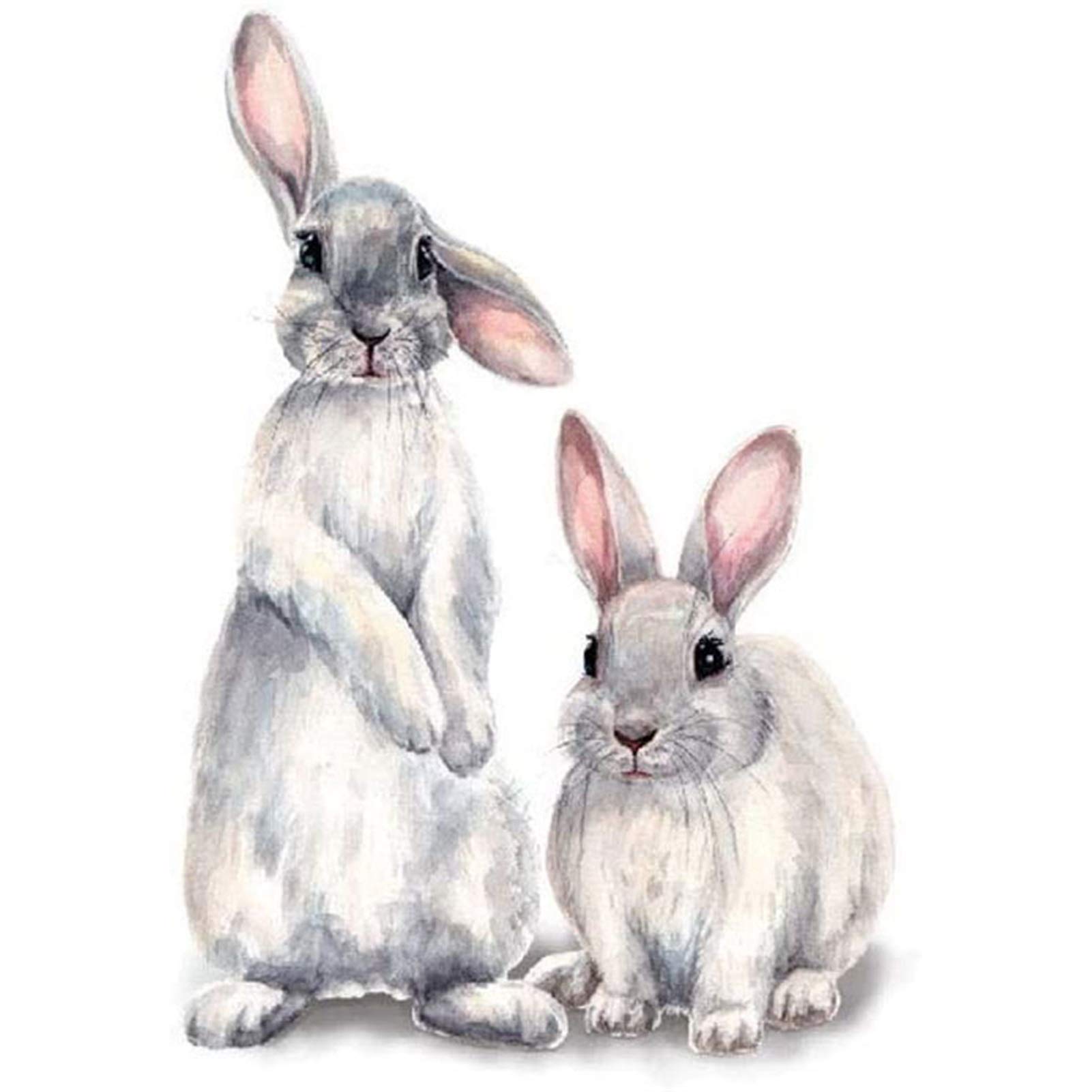Removable Rabbit Wall Stickers for Kids Room - Cute Bunny Wall Decals for Living Room & Bedroom Decor - Peel and Stick Wallpaper Mural for Nursery, Playroom, and Home Decor