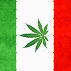 Mexico Weed