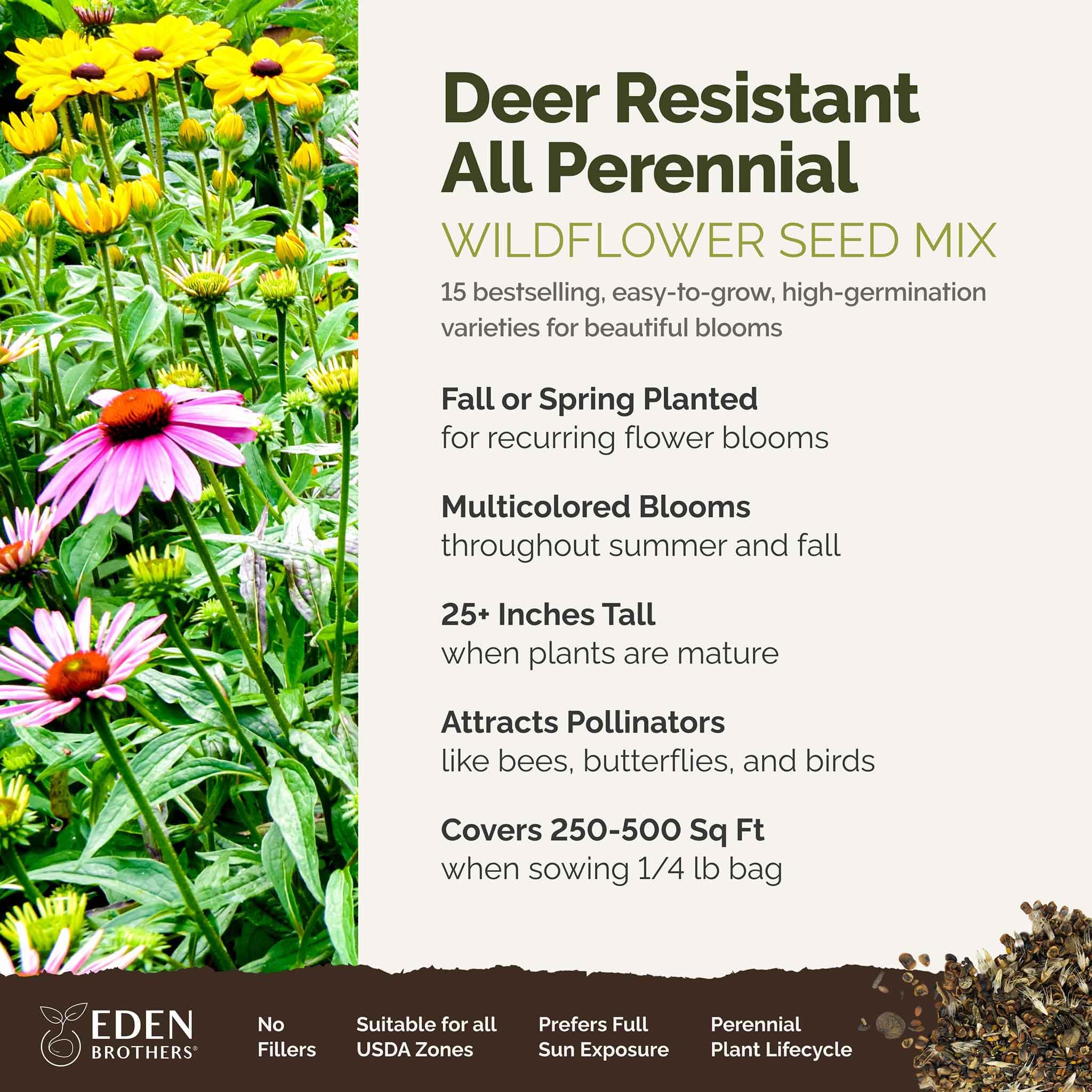 Eden Brothers Deer Resistant Wildflower Seeds Mix - 1/4 lb (120,000+ Seeds) with Sweet William | Perennial Flower Seeds for Planting | Attracts Bees, Butterflies & Pollinators | Spring & Fall Planting | Zones 3-10 | Perfect for Gardens, Meadows & Landscaping