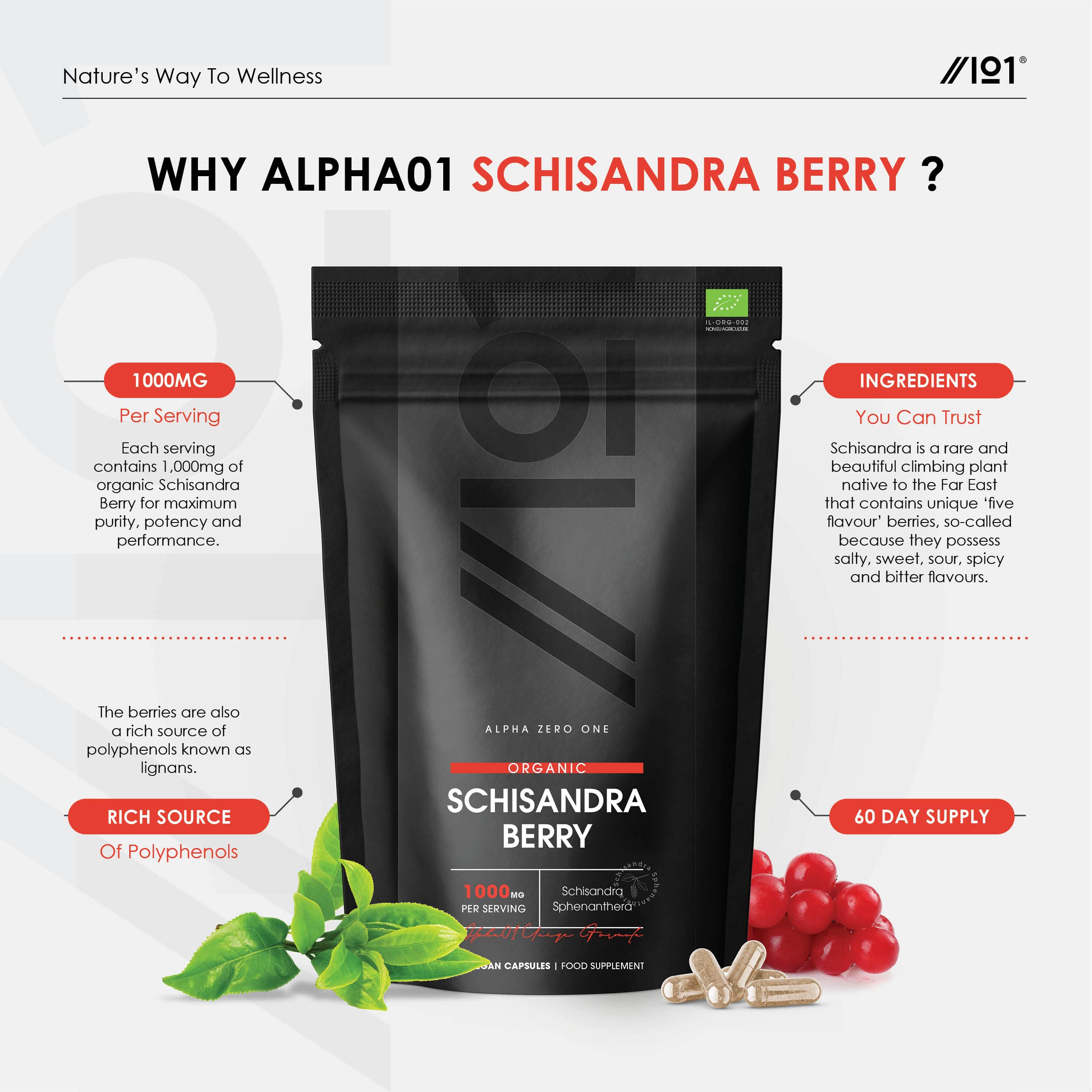 Organic Schisandra Berry 1000mg Supplement - High Potency 2 Month Supply (120 Vegan Capsules) - Non-GMO, Gluten Free, Halal Certified - Supports Energy, Focus & Stress Relief - Perfect for Daily Wellness & Natural Detox