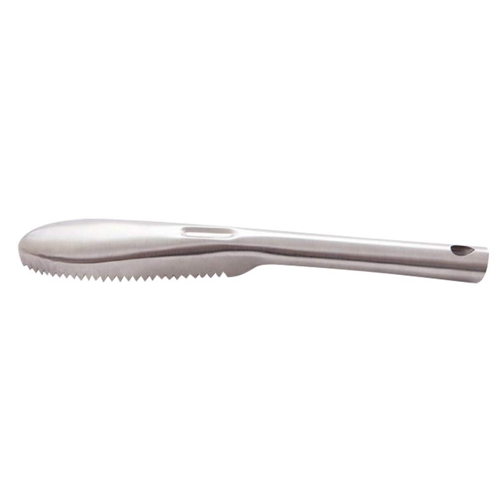 Stainless Steel Fish Scale Scraper & Cleaner Tool - Magnetic Kitchen Peeler for Efficient Fish Preparation, Perfect for Home Cooking & Professional Kitchens