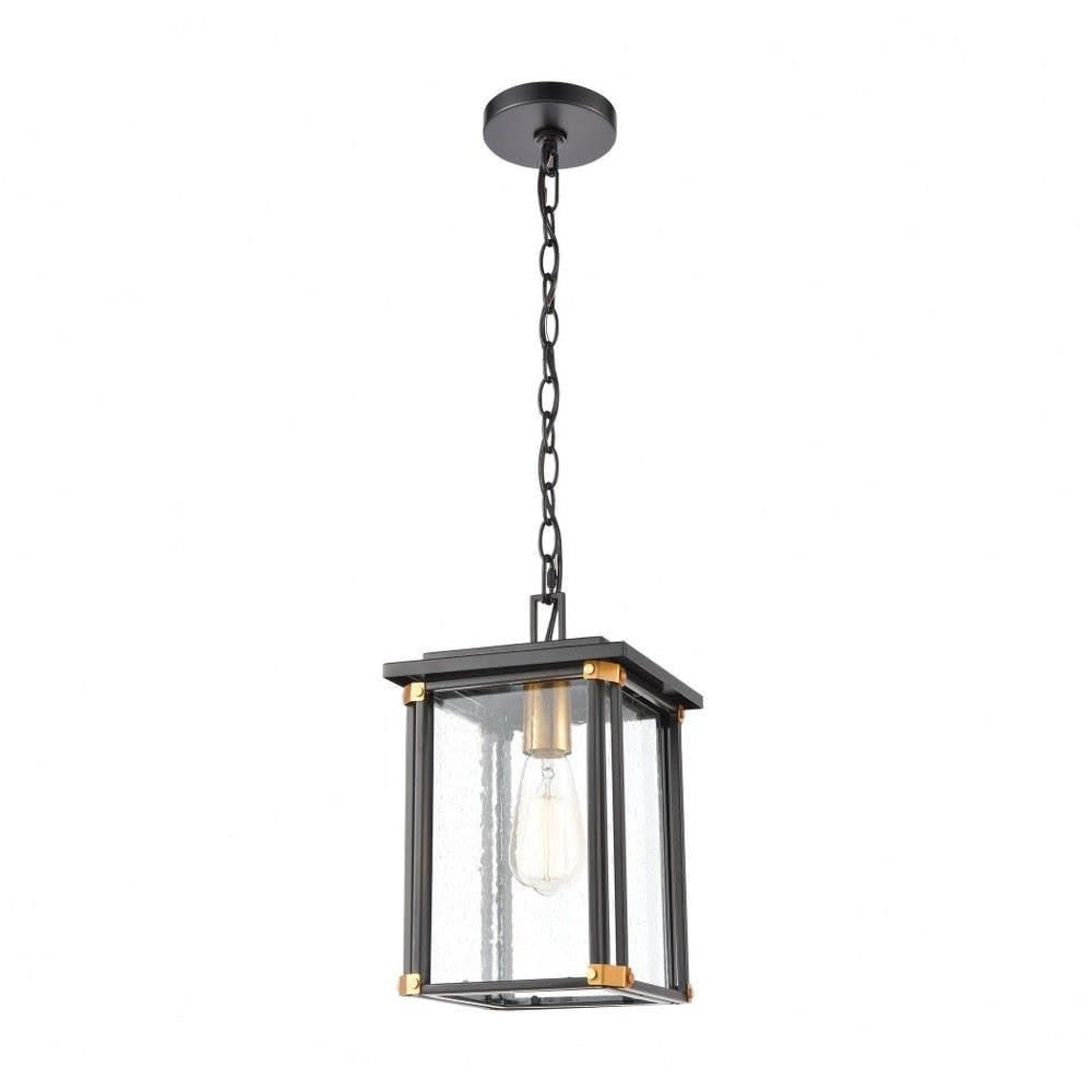 Rectangular One Light Outdoor Hanging Lantern Ceiling Light with Brass Accents - Exposed Bulb Pendant Light in Matte Black/Brushed Brass Finish for Porch, Patio & Garden Decor