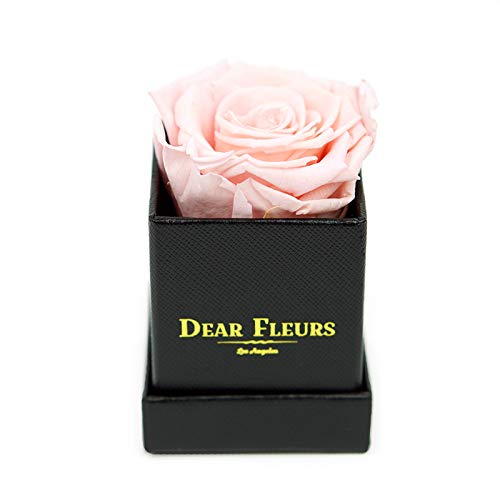 Petit Rose | Real Preserved Roses That Last 1 Year | Eternal Rose Gift in Luxury Rose Quartz Pink with Black Leather Box - Perfect for Anniversaries, Valentine's Day & Romantic Gifts
