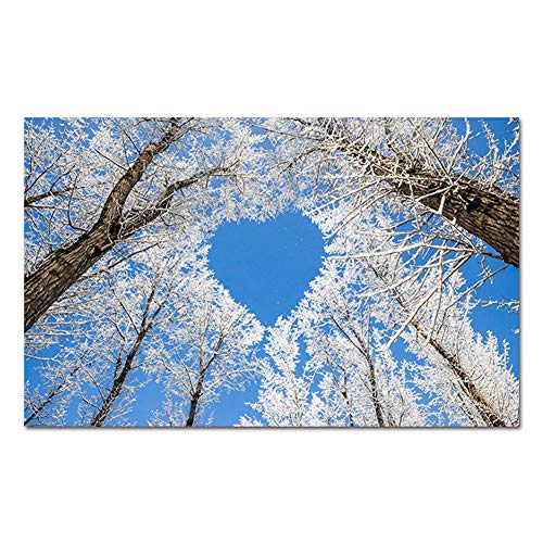Winter Sky