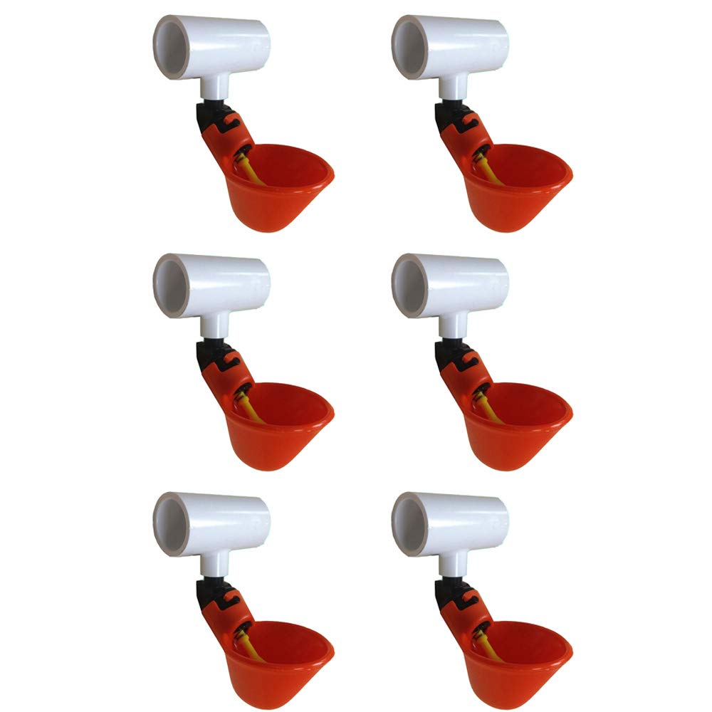 6 Pack Chicken Drinker Cups with 1/2
