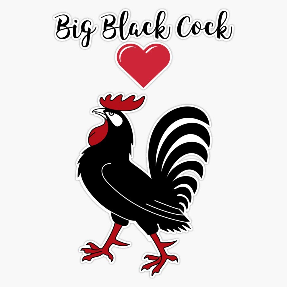 Funny Rooster Chicken Design Sticker - 5 Inch Big Black Cock Decal for Cars, Laptops & Water Bottles - Humorous Bumper Sticker for Animal Lovers & Poultry Enthusiasts
