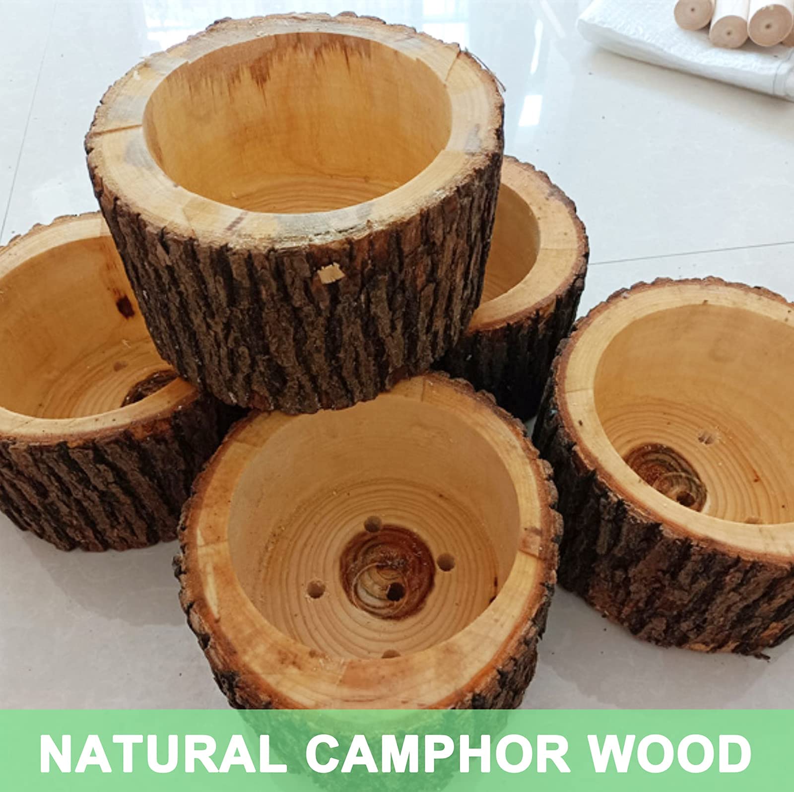 Camphor Wood Vertical Log Planter - Small Rustic Succulent & Flower Pot for Indoor/Outdoor Garden Decor (7x5 inch) - Perfect for Windowsills, Balconies & Patio Plant Displays