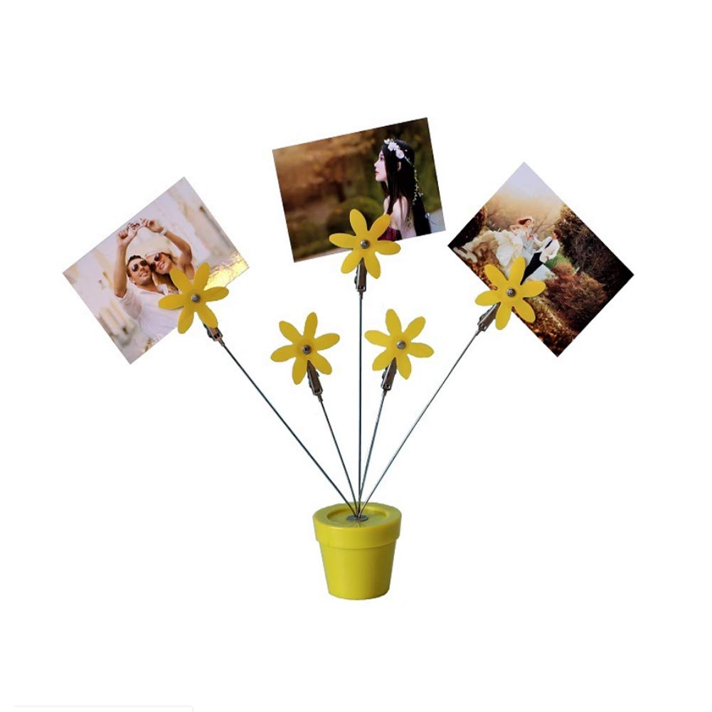 5 Branch Photo Tree Holder Clip - Money Tree & Family Tree Gift Card Display for Photos, Souvenirs, Notes & Wedding Cards | Perfect for Home Decor, Wedding Reception & Memory Keepsakes