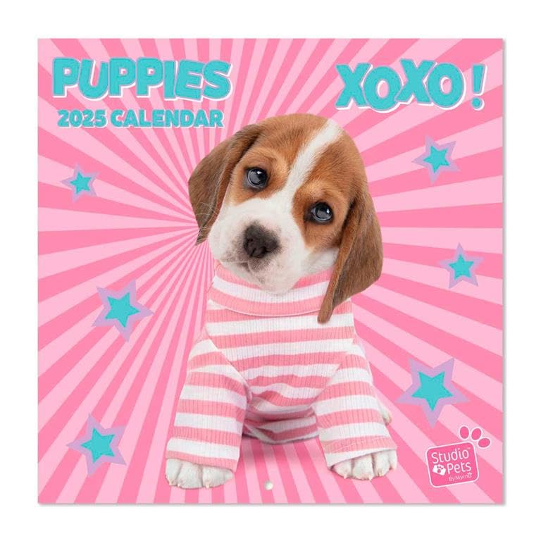 Puppies