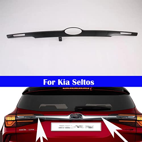 1 Rear trim Carbon Fiber