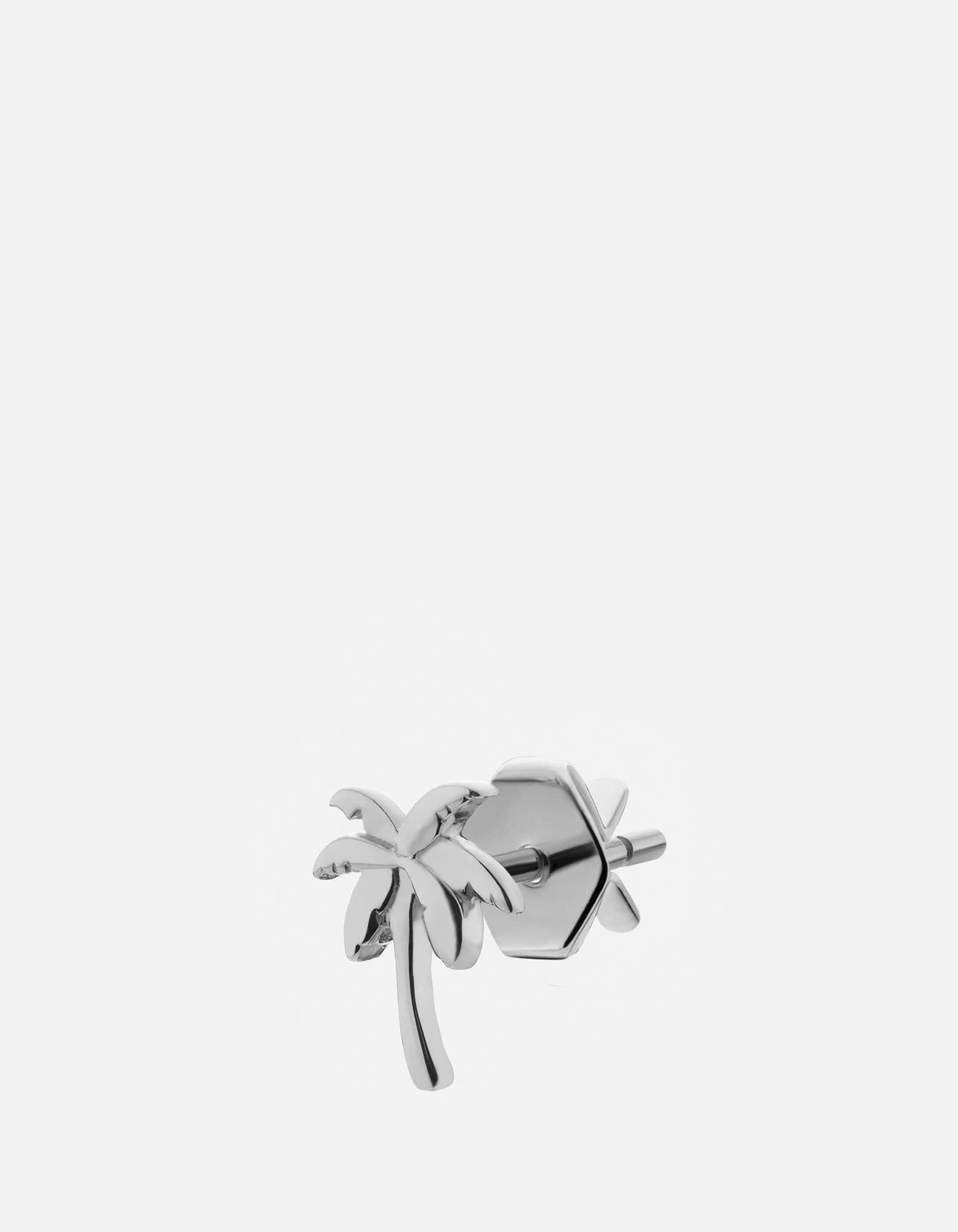 Polished Silver